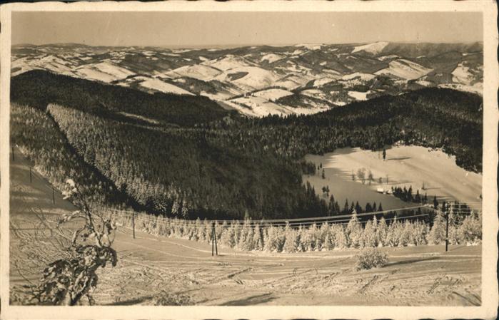 Javornik Jauernig [Handschriftlich]