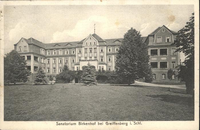Greiffenberg Schlesien Sanatorium Birkenhof