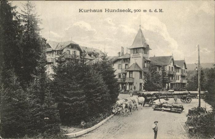 Hundseck Kurhaus  Kuehe
