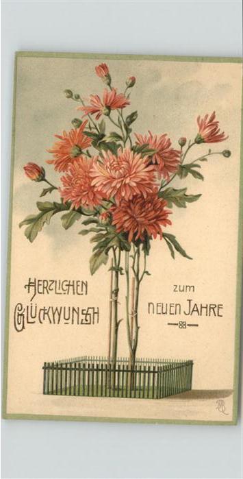 Neujahr Neujahrsgrüsse Blumen
