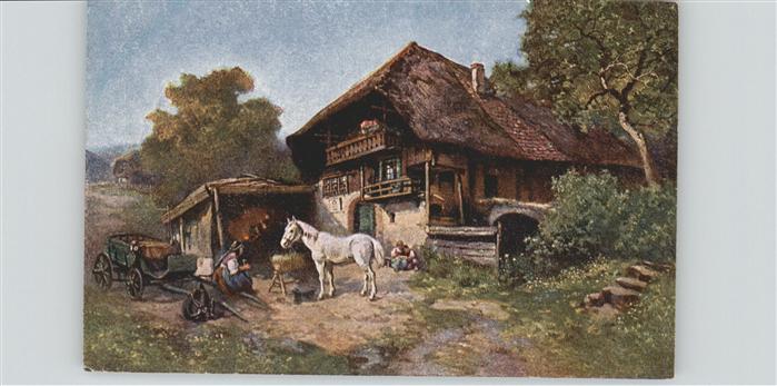 Schwarzwaldhaeuser Pferd Schimmel