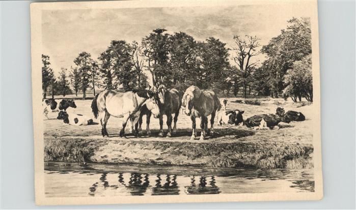 Verlag HDK Nr. 548 München Willy Tag Viehweide an der