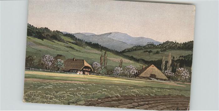 Schwarzwaldhaeuser Nr. 8