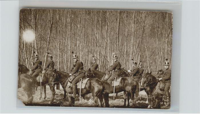 Soldatenleben Pferde