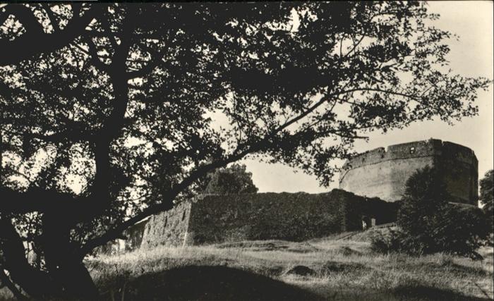 Hrad Hukvaldy
