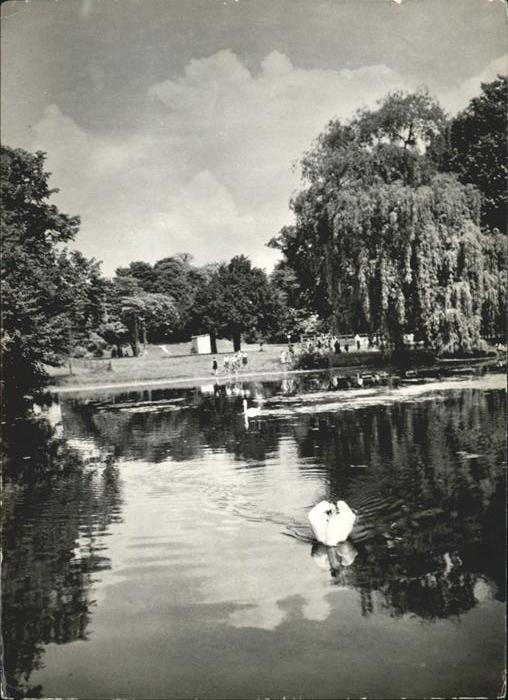 Strzelce Opolskie Schwan