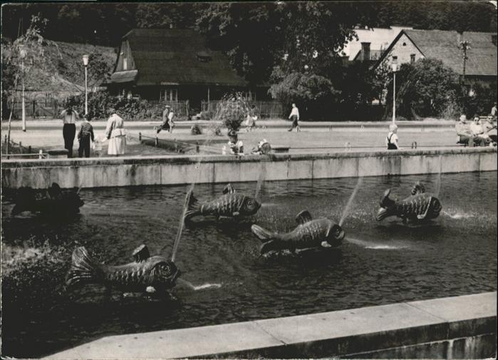 Wisla Fragment Parku