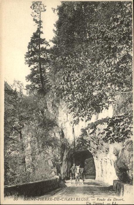 Saint-Pierre-de-Chartreuse Pferd