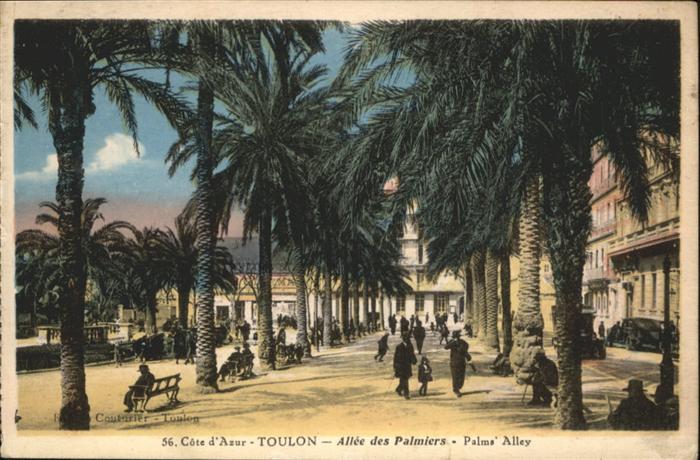 Toulon Var Allees ds Palmiers