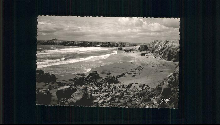 Quiberon Morbihan Cot Sauvage