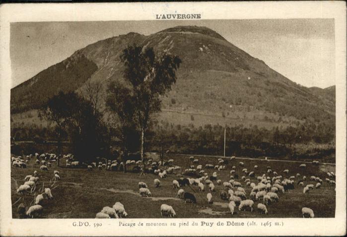 Puy-de-Dome Pacage de moutons
Auvergne