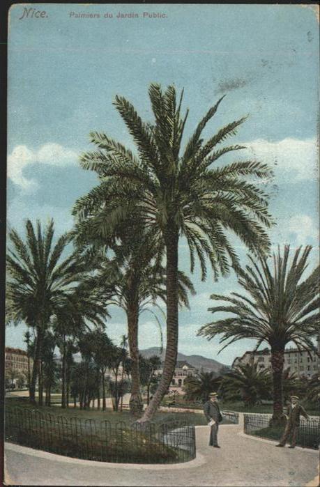Nizza PALMIERS DU JARDIN PUBLIC