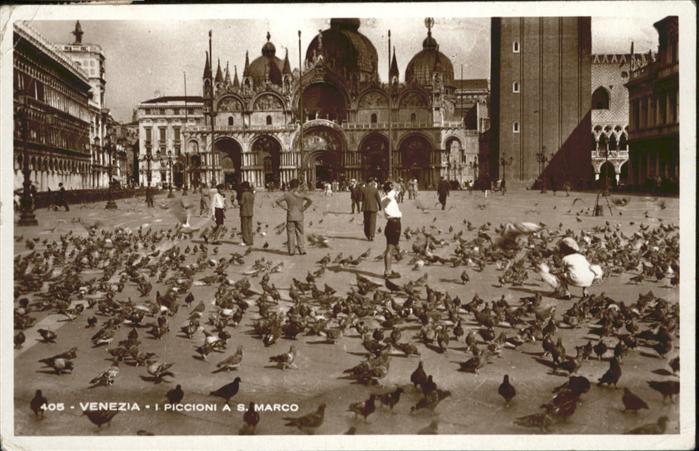 Venezia Venedig I Piccioni A S. Marco Tauben