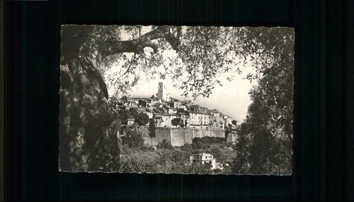 Saint-Paul Alpes-Maritimes vue prive entre les Oliviers