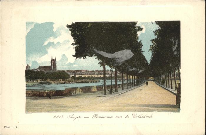 Angers Panorama vers la Cathedrale