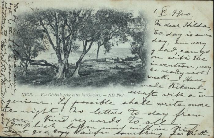 Nizza Vue generale prise entre les Oliviers