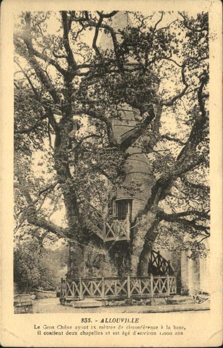 Allouville-Bellefosse Gros Chène