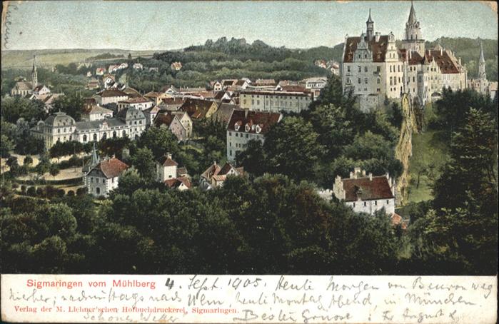 Sigmaringen vom Muehlberg