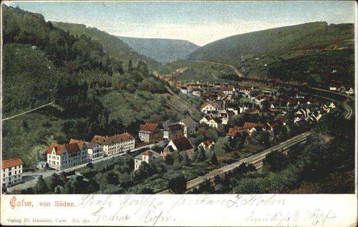 Calw von Sueden