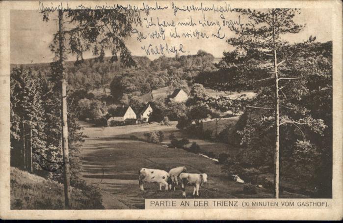 Trienz Odenwald Pension zur Pfalz