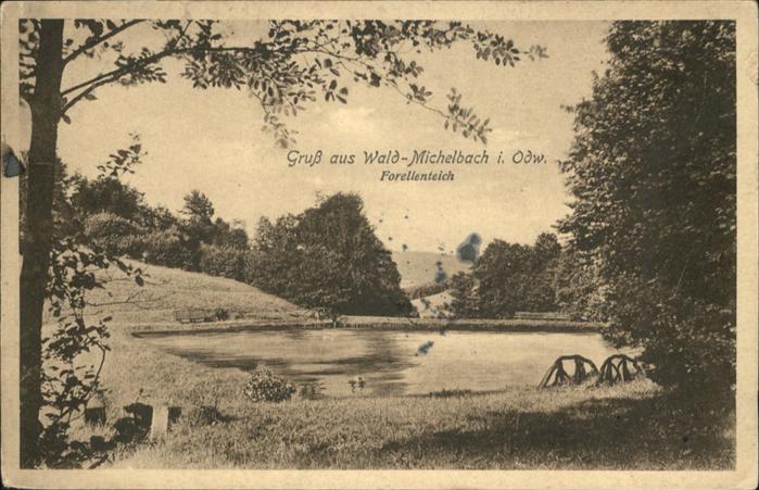 Waldmichelbach Forellenteich