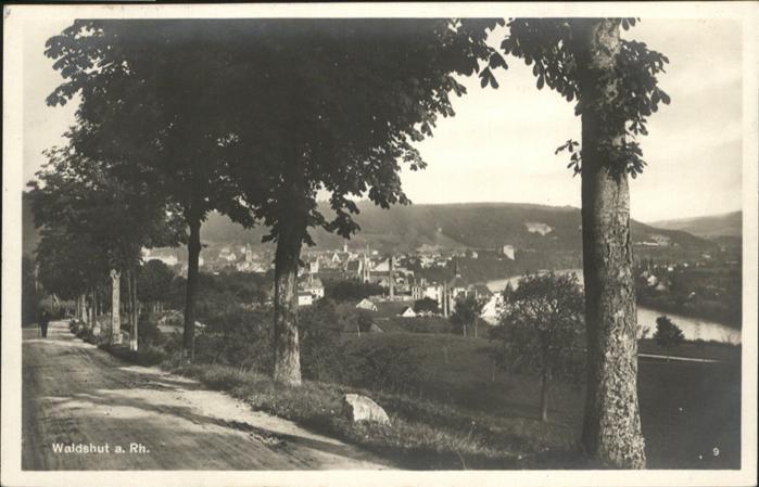 Waldshut Tiengen Rhein am Rhein
