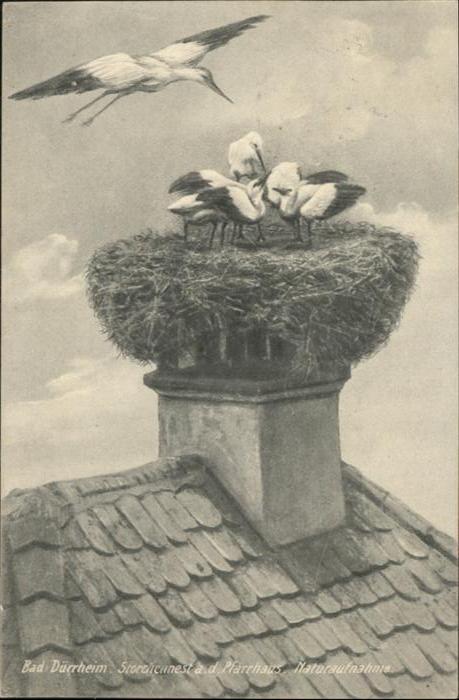 Bad Duerrheim Storchennest Pfarrhaus