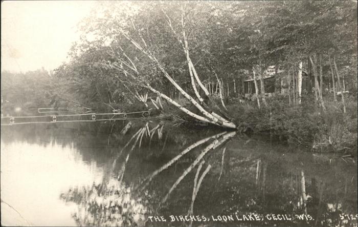 Cecil USA Birches
Loon Lake