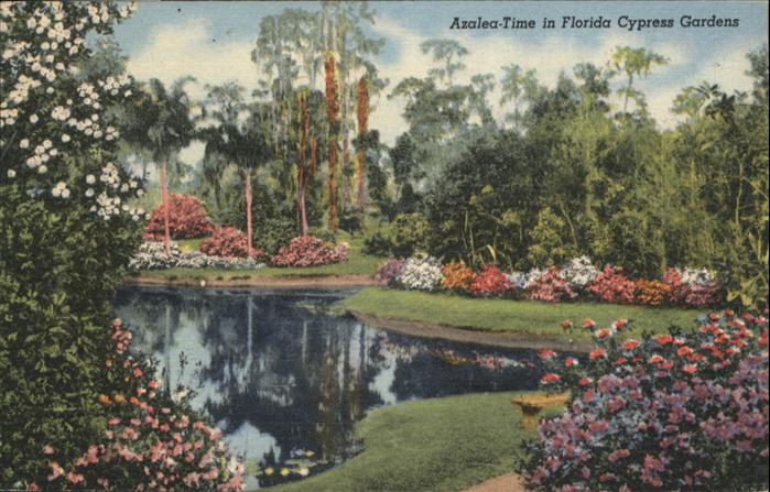 Florida Azalea Time Cypress Gardens