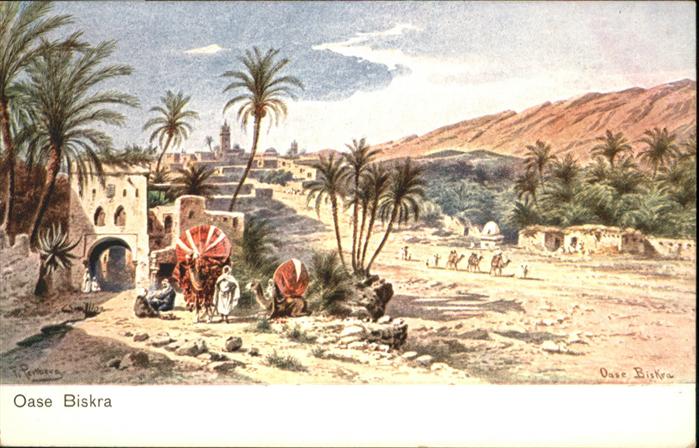 Biskra Oase Kamel