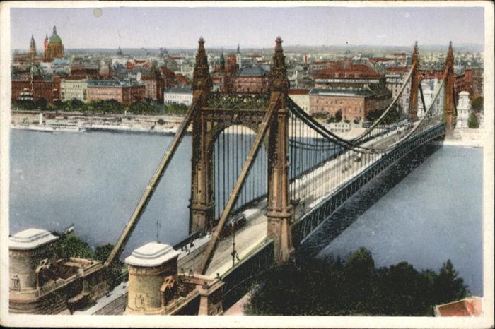 Budapest Elisabethbruecke Strassenbahn