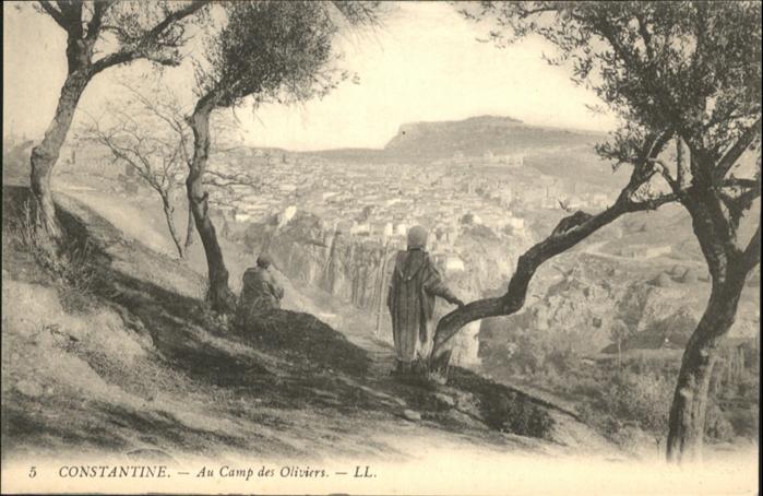 Constantine Algerien Camp Oliviers