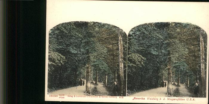 Niagara Falls New York Amerika Waldweg