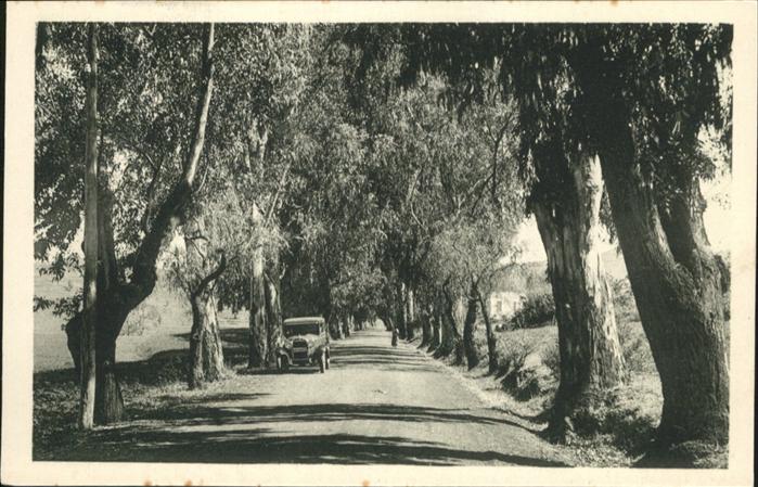 Madronal Route du Centre