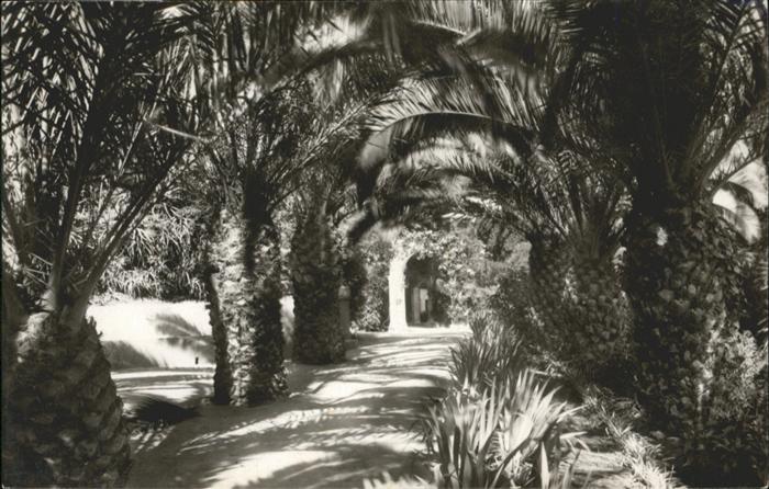 Alger Algerien Parc de Galland