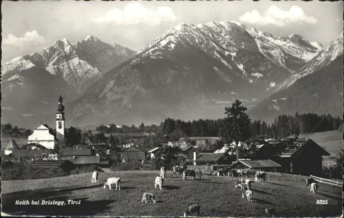 Reith Brixlegg Kühe