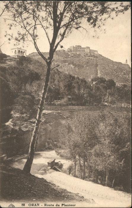 Oran Algerie Route Planteur