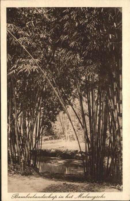 Malang-Java Bamboelandschap