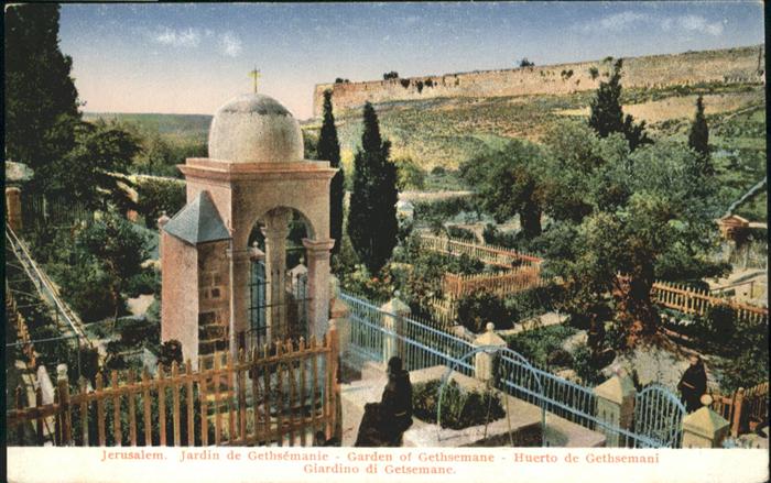 Jerusalem Yerushalayim Giardino Getsemane