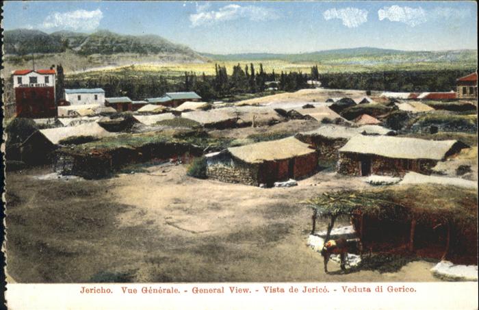 Jericho Israel Pferd