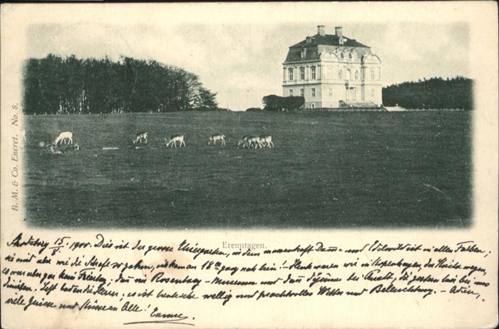 Skodsborg Erenntagen Hirsch