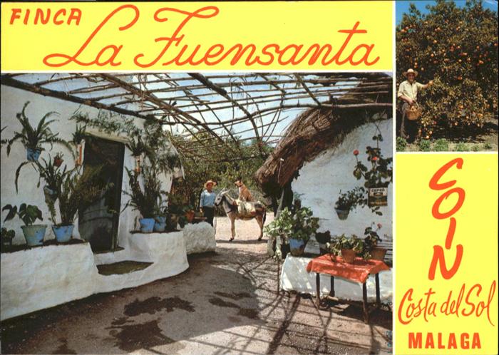 Coin Malaga Finca La Fuensanta