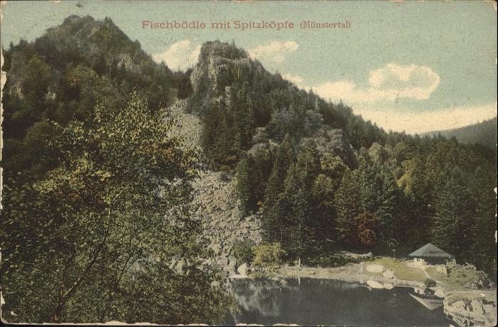 Altenberg Elsass Fischbödle mit Spitzköpfe (Münstertal)