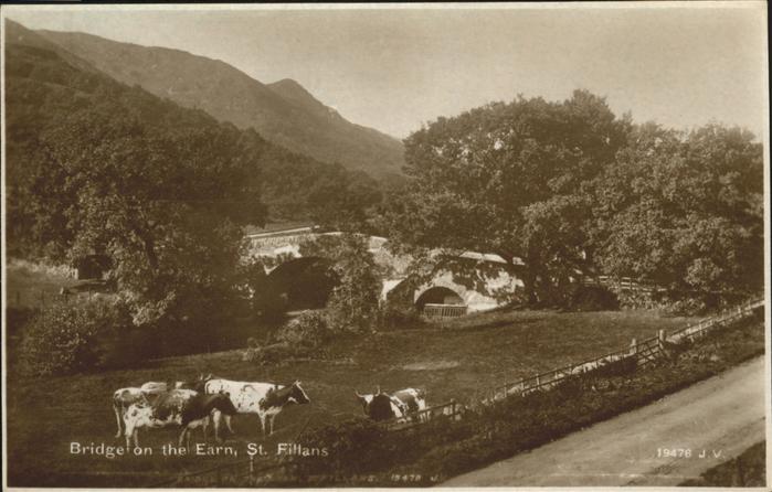 St Fillans Bridge Kuehe