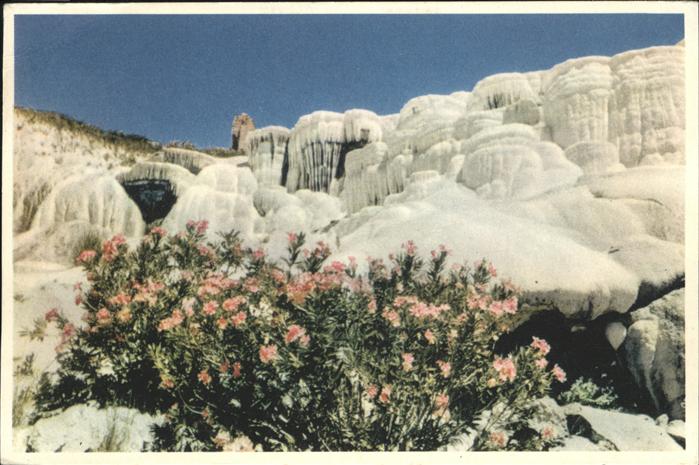 Pamukkale Denizli