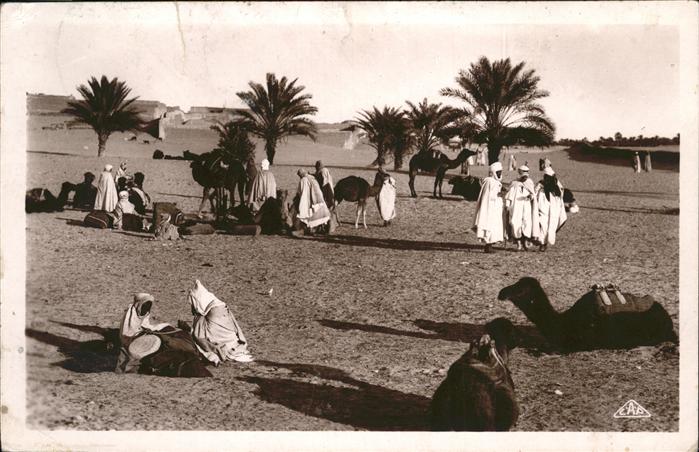 Araber Kamele Wüste