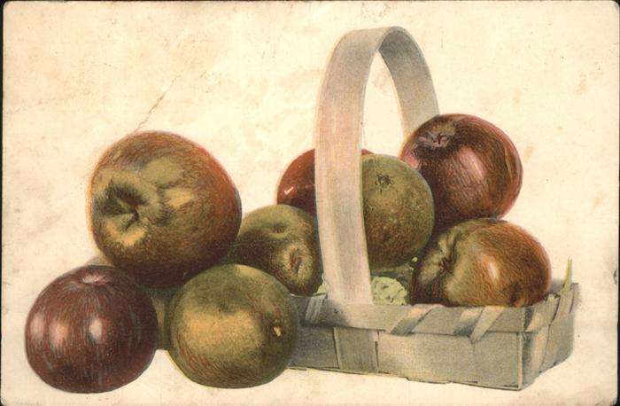 Stillleben Äpfel Korb