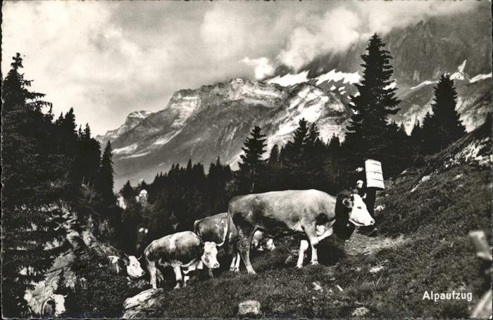Kuehe Alpaufzug