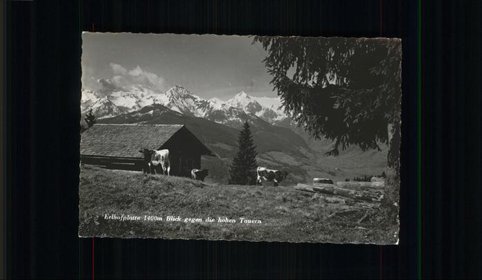 Zell See Erlhofplatte Hohe Tauern