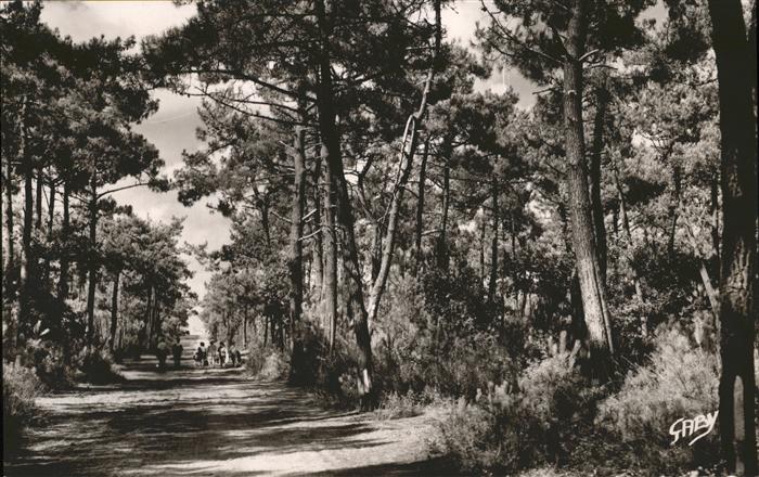 Boyardville Sous-Bois conduisant a la Plage